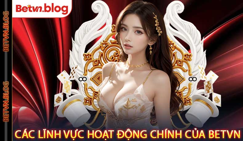 Các lĩnh vực hoạt động chính của Betvn