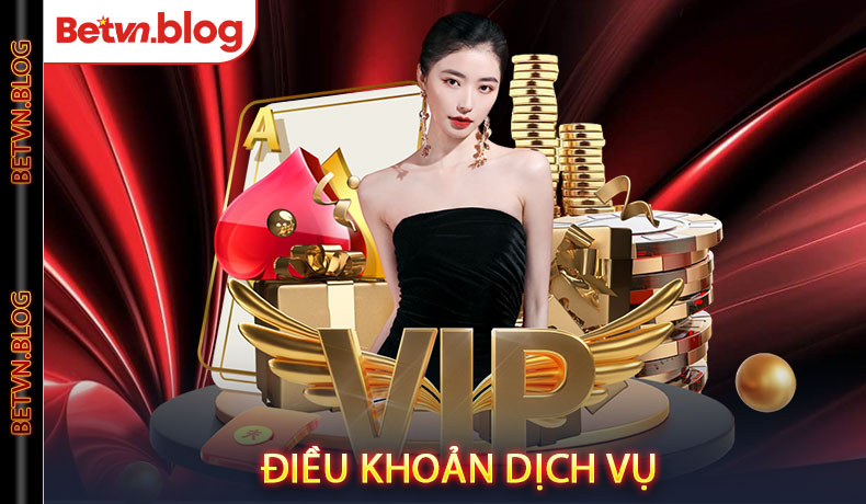 Điều Khoản Dịch Vụ