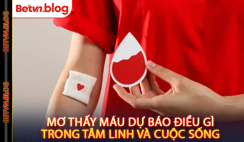 Mơ Thấy Máu – Dự Báo Điều Gì Trong Tâm Linh Và Cuộc Sống?